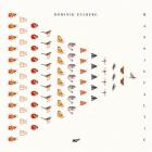 Mannigfaltig | Dominik Eulberg. Interprète