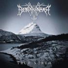 True north | Borknagar. Musicien