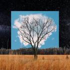 Bloom innocent | Fink. Interprète