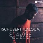 894 & 958 pianos sonatas = Sonates pour piano 894 & 958 / Franz Schubert | Schubert, Franz (1797-1828). Composition