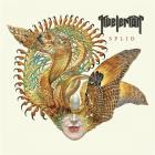 Splid | Kvelertak. Musicien