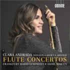 Flute concertos