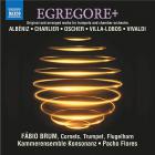 jaquette CD Egregore+