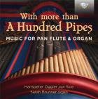 With more than a hundred pipes - musique pour flûte de pan et orgue