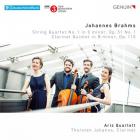 jaquette CD Brahms : musique de chambre