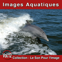 Le Son Pour l'Image Vol. 12 : Images Aquatiques