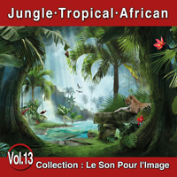 jaquette CD Le Son Pour l'Image Vol. 13 : Jungle - Tropical - African