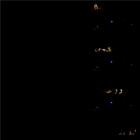 Live drugs | The War On Drugs. Musicien