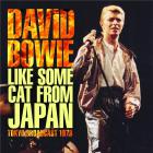 jaquette CD Like some cat from Japan radio broadcast Tokyo 1978