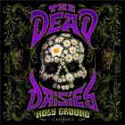 Holy ground | The Dead Daisies . Musicien