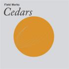 Cedars | Field Works. Musicien