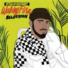 Riddimentary selection - Walshy Fire