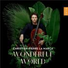 jaquette CD Wonderful World