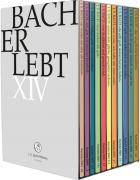 jaquette CD Bach Erlebt XIV