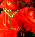 jaquette CD M.C. Muses et Conducteurs / Commentaires Adjacents 4