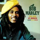 Bob Marley : the king of Jamaica