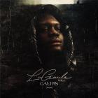 jaquette CD La Gaule vol. 1