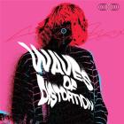 Waves of distortion : the best of shoegaze 1990-2022