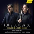 Flute concertos