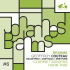 Sonates pour clarinette - Trio avec cor