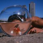 jaquette CD La plage