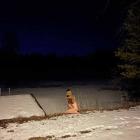 jaquette CD From Where You Came