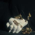 jaquette CD Violent god