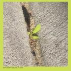 Close Up On The Outside