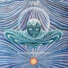 Le cimetière des arlequins