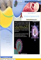 Sida - Pour mieux comprendre