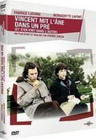 Vincent mit l'âne dans un pré