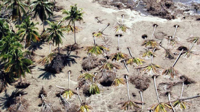 Tsunarisque, appréhender une catastrophe