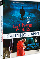 Les chiens errants . Voyage en Occident | 