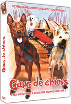 Dogs ! La folle aventure