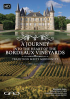 Voyage au cœur du vignoble bordelais, entre tradition et modernité