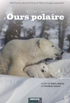 Métamorphoses de l'ours polaire (Les)