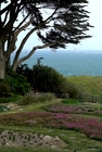 Jardins d'ici et d'ailleurs