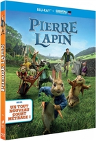 Pierre Lapin