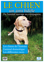 Chien, un ami fidèle (Le)