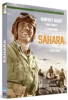 Sahara