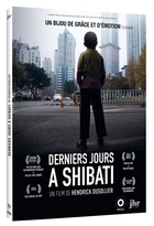 Derniers jours à Shibati