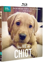 Une vie de chiot