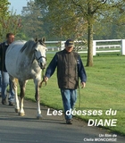 Déesses du Diane (Les)