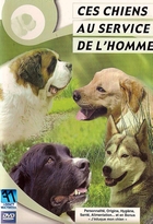 Ces chiens au service de l'homme