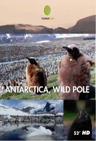 Antarctique