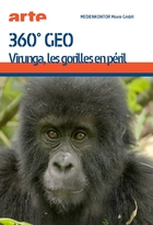 360° Géo - Virunga, les gorilles en péril