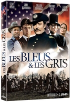 Bleus et les Gris (Les)