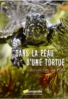 Dans la peau d'une tortue