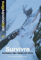 Survivre : animaux des Alpes en hiver