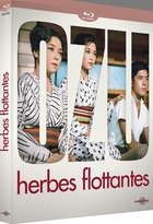 Herbes flottantes